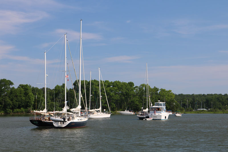 sailboat cruising chesapeake bay